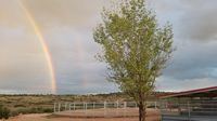 Roundpen rainbow